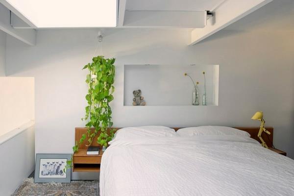 Φεγγίτες από υπνοδωμάτιο με παράθυρα με επένδυση εγκαθιστούν φυτά