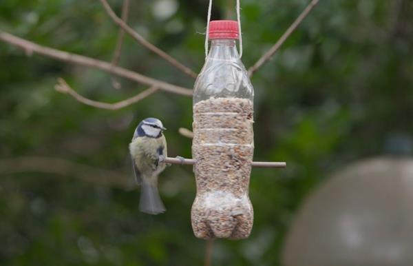 Φτιάξτε το δικό σας ξύλινο ραβδί από πλαστικό μπουκάλι για τροφοδότη πουλιών
