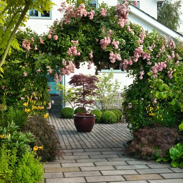 τριαντάφυλλο αψίδα κήπος τριαντάφυλλα πύλη πράσινο μπροστινό κήπο