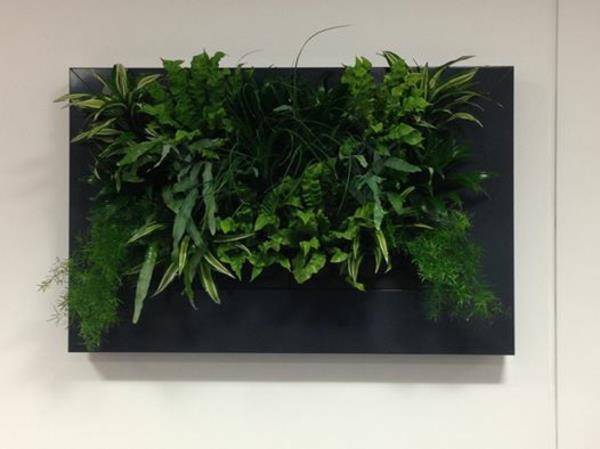 Διακόσμηση τοίχου με φυτά κορνίζα ζωντανή εικόνα