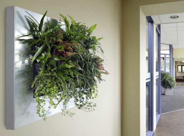 Φυτά διακόσμησης τοίχου ζωντανός κάθετος κήπος