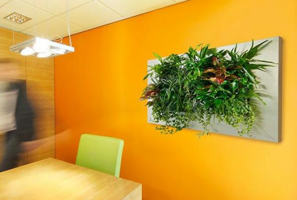 πορτοκαλί τοίχο χρώμα διακόσμηση τοίχου με φυτά