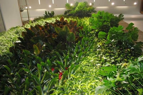 Διακόσμηση τοίχου πράσινο σκεφτείτε φυτά χυμώδεις ιδέες