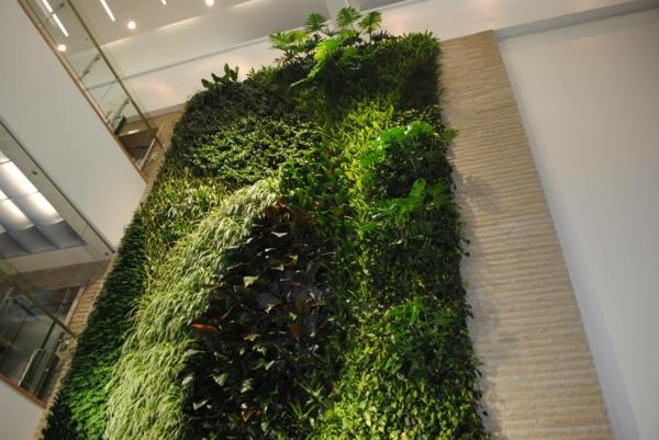 Διακόσμηση τοίχου με φυτά κήπος σχεδιασμός τοίχων