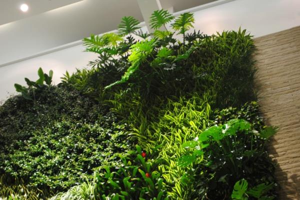 Ιδέες για διακόσμηση τοίχων φυτά τοίχου
