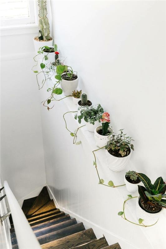 Βάζο λουλουδιών σκαλοπατιών σχεδιασμού τοίχου