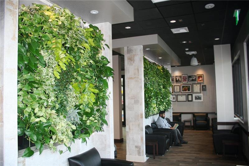Αίθουσα αναμονής με τα πράσινα φυτά Σχέδιο πράσινου τοίχου