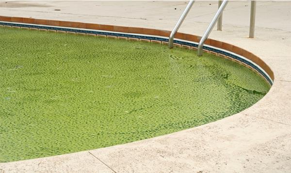 Γιατί μπορεί το νερό της πισίνας να είναι πράσινο