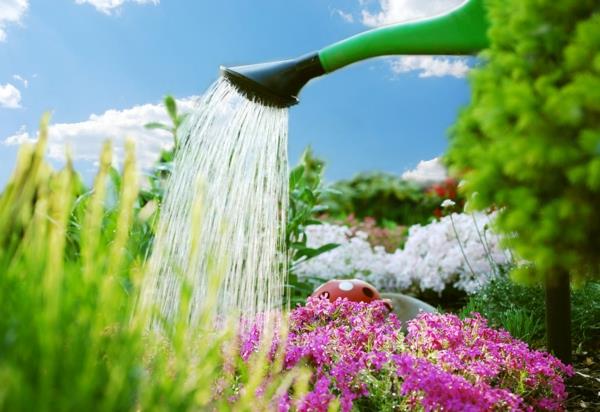 Εξοικονομήστε συμβουλές νερού βιώσιμη διαβίωση κηπουρική πότισμα λουλουδιών