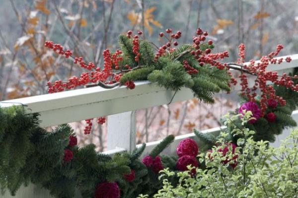 Χριστουγεννιάτικη διακόσμηση για μπαλκόνι από πράσινο μούρο γκι στην περιοχή άλλα ανθεκτικά φυτά και λουλούδια