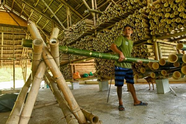 Πόσο γρήγορη είναι η ανάπτυξη του μπαμπού κατασκευαστική βιομηχανία μπαμπού