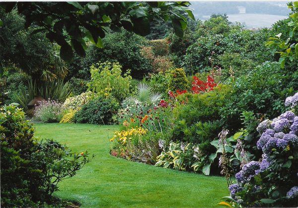 Λιβάδια και όμορφοι θάμνοι - δημιουργήστε έναν φυσικό κήπο
