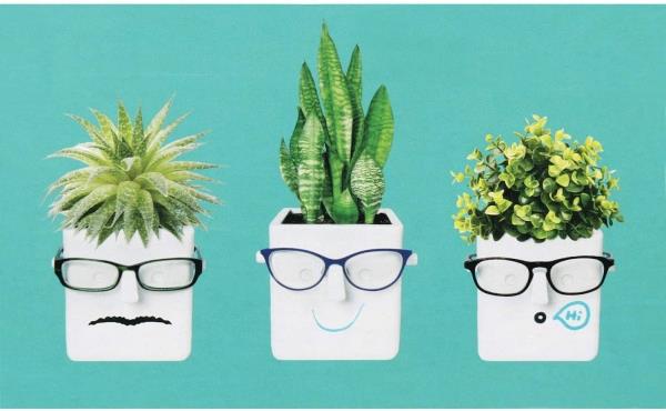 Αστείες και πρακτικές διαδικτυακές ιδέες και συμβουλές junk gnomes και κάτοχος λουλουδιών και γυαλιών