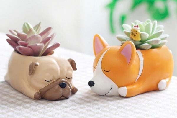 Αστείες και πρακτικές διαδικτυακές ιδέες jnome junk και συμβουλές για χαριτωμένα δοχεία λουλουδιών σκύλων