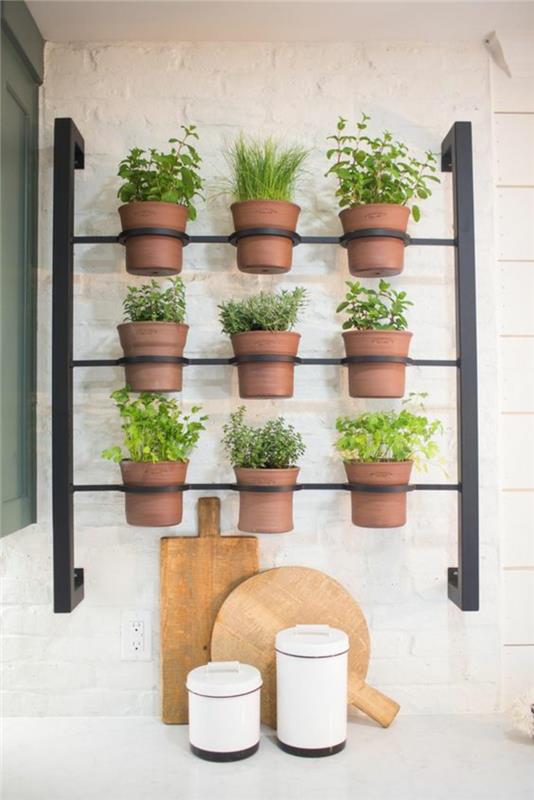 Διαμέρισμα ανακαίνιση τοίχου σχεδιασμός κουζίνας κήπος με βότανα