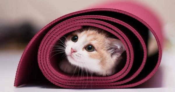 Yoga mat καθαρίζει και απολυμαίνει απορρυπαντικό γάτας