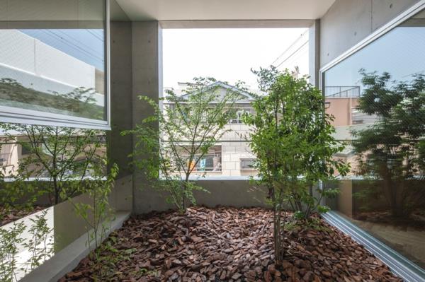 Εσωτερικός κήπος στον εσωτερικό κήπο με παράθυρο ιαπωνικού σπιτιού