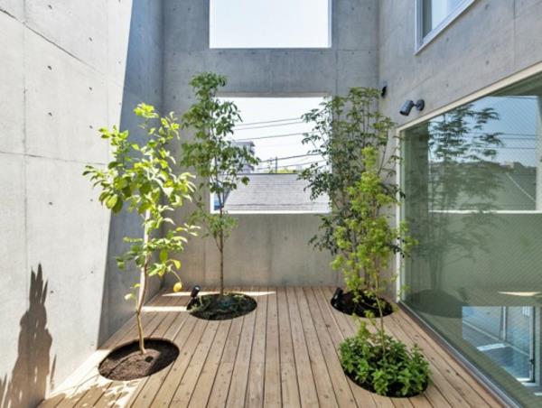 Εσωτερικός κήπος στο ιαπωνικό σπίτι φυτά σε γλάστρες ξύλινο δάπεδο