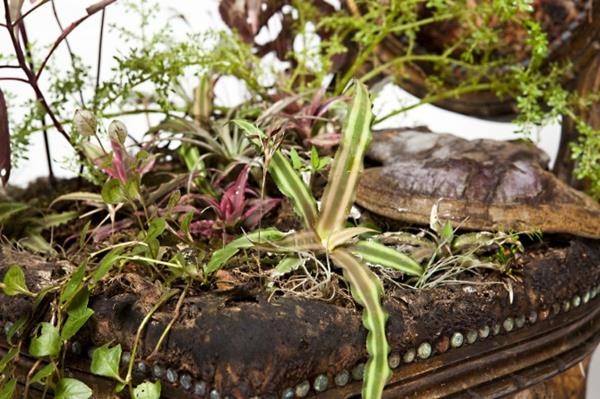 Διατηρήστε τα φυτά των δωματίων που έχουν φυτευτεί με επικαλυμμένα έπιπλα πράσινα