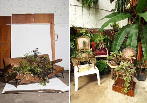 φυτά σε γλάστρες φροντίζουν φυτεμένα στούντιο με επικαλυμμένα έπιπλα