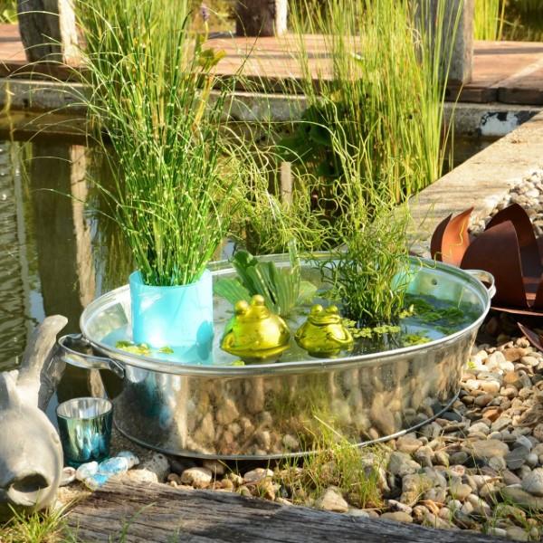 Διακόσμηση της μπανιέρας ψευδαργύρου - ιδέες και συμβουλές για μια ρουστίκ διακόσμηση κήπου λιμνούλα κήπου πανέμορφη διακόσμηση