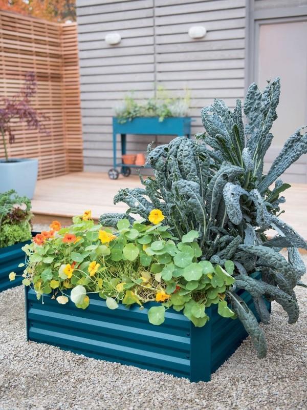 Διακόσμηση της μπανιέρας ψευδαργύρου - ιδέες και συμβουλές για μια ρουστίκ διακόσμηση κήπου με κρεμαστό κρεβάτι μεταλλικό μπλε