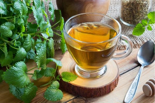 Τσάι από βάλσαμο λεμονιού - ενισχύει την ανοσία και την ψυχή μέσα από τα δώρα της φύσης τσάι από βότανα φρέσκο ​​κήπο
