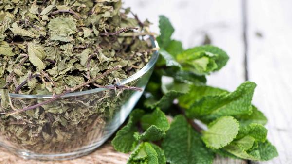 Τσάι με βάλσαμο λεμονιού - το ξηρό τσάι από φύλλα βάλσαμου ενισχύει την ανοσία και την ψυχή μέσα από τα δώρα της φύσης