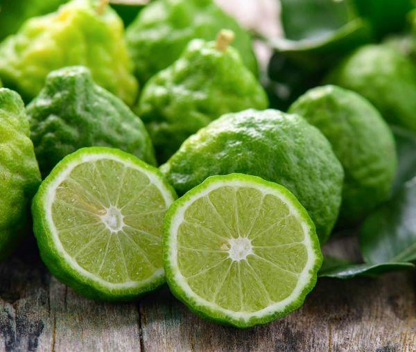 Citrus Bergamot Oil Plant Properties Αρωμα