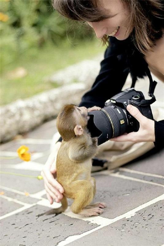 πίθηκος ως κάμερα κατοικίδιων ζώων έξω