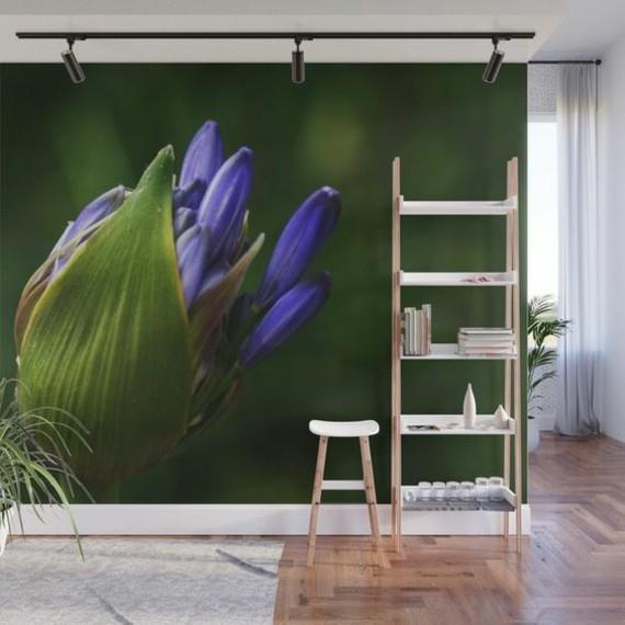 αφρικανικό κρίνο διακοσμητικό κρίνο agapanthus africanus τοιχογραφία ταπετσαρία