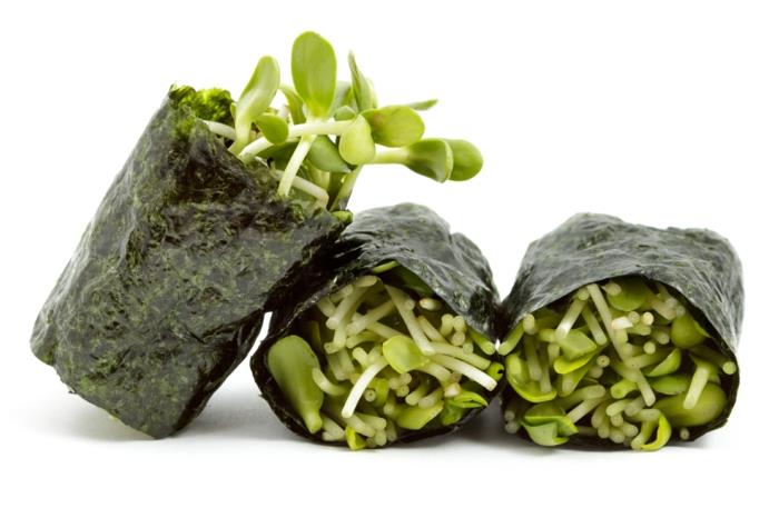 ιδέες για τρόφιμα από φύκια σούσι ιδέες συνταγών για φύκια