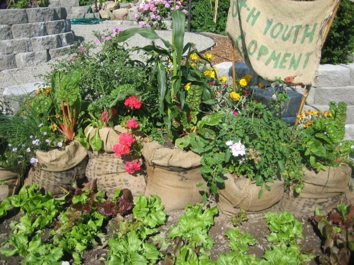 παλιές τσάντες sisal που ανακυκλώνουν ιδέες κήπου για λίγα χρήματα