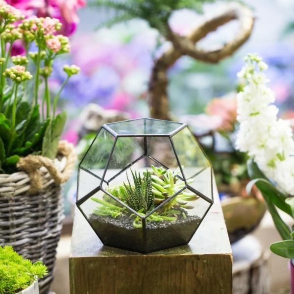 παλιό εργοστάσιο αμπαζούρ terrarium