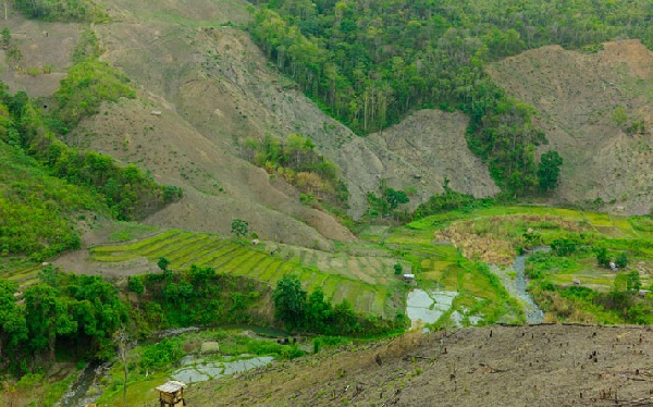 Nagaland'daki Fakim ​​Yaban Hayatı Koruma Alanı Parkları