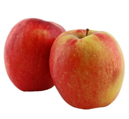 obuolių rūšis