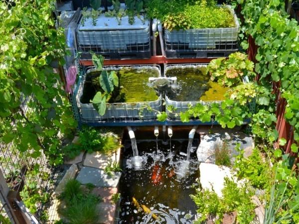 ιδέες βιώσιμων κήπων aquaponics