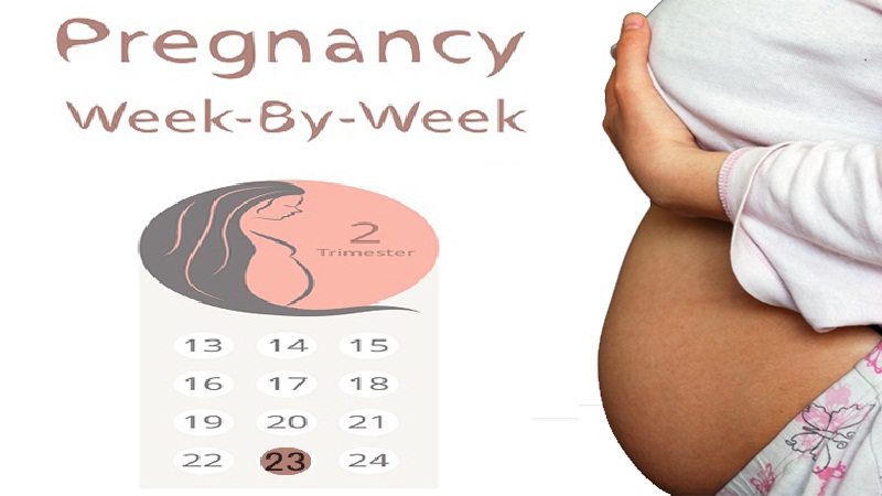 23 haftalık hamile