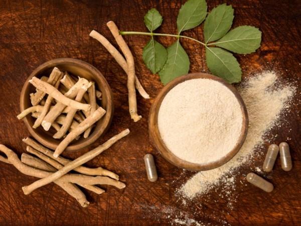 ashwagandha φαρμακευτικό φυτό adapotgene