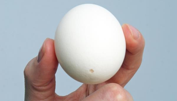 φουσκωμένα αυγά οδηγίες συμβουλές Πασχαλινή διακόσμηση