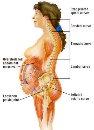 Hamilelikte Sırt Ağrısı