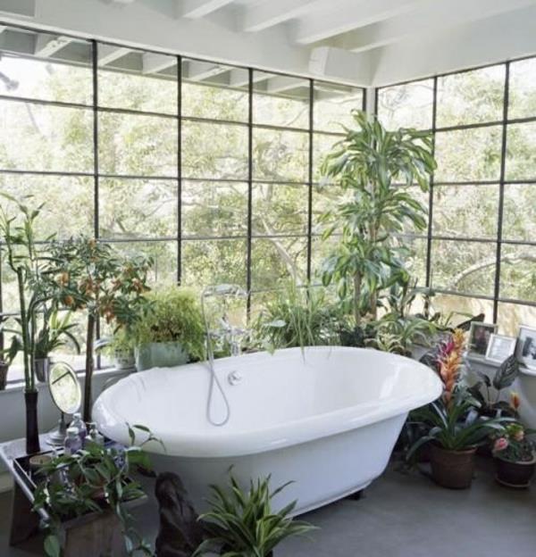 λουτρό σχεδιασμός γυάλινοι τοίχοι φυτά