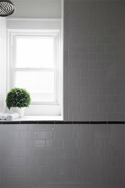 Το μπάνιο στήνει φυτά εσωτερικού χώρου στο παράθυρο