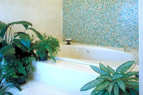 μπάνιο επίπλωση εσωτερικών φυτών ανεξάρτητη μπανιέρα