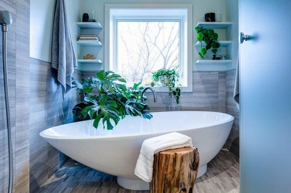 διακόσμηση μπάνιου πράσινα φυτά εσωτερικού χώρου μπανιέρα