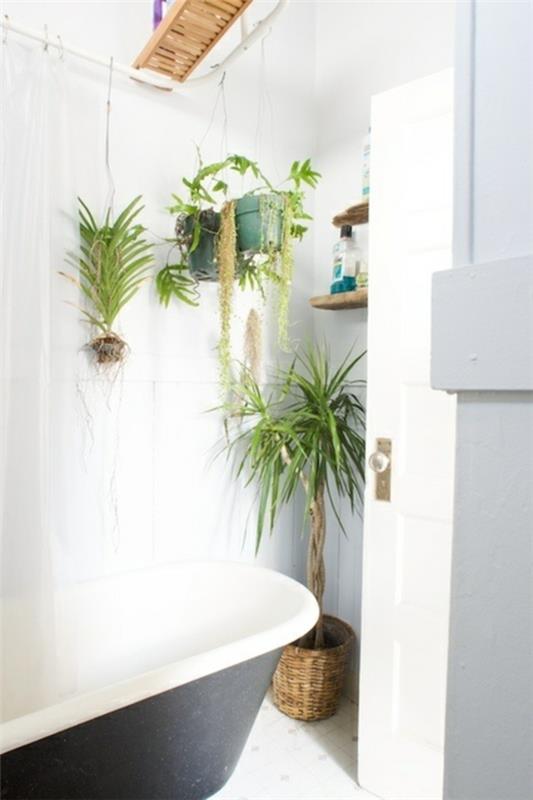 μπάνιο φυτό λευκοί τοίχοι
