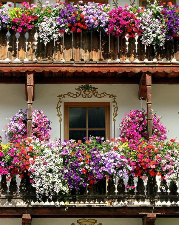 παραδοσιακό μπαλκόνι φύτευση λουλούδι κουτί πολύχρωμο