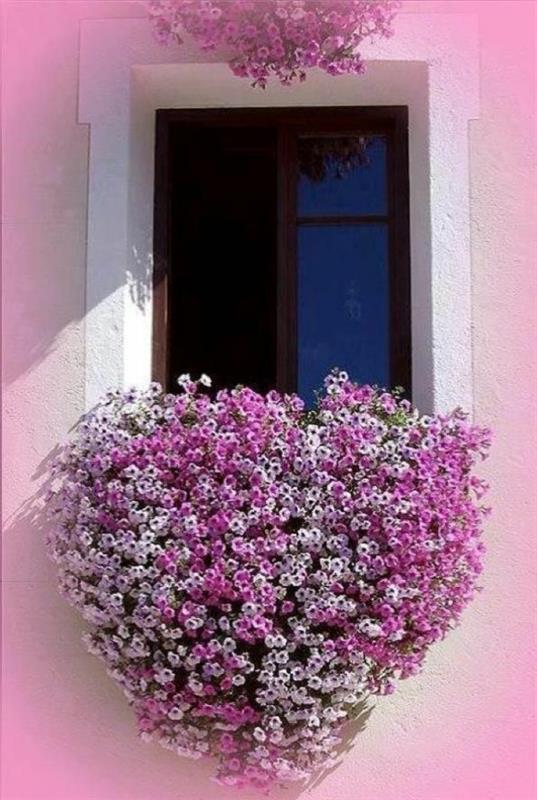 μπαλκόνι κήπος τέχνη φύτευση λουλουδιών κουτί λουλούδια σε σχήμα καρδιάς