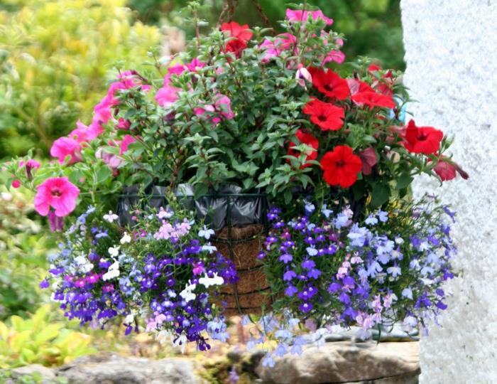 Διακοσμήστε το μπαλκόνι κρεμαστά φυτά συνδυάστε χρωματιστά λουλούδια