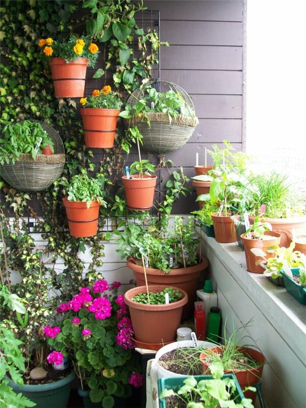 Δημιουργήστε μπαλκόνι μπαλκόνι φυτά λουλούδι κήπο σχεδιασμό
